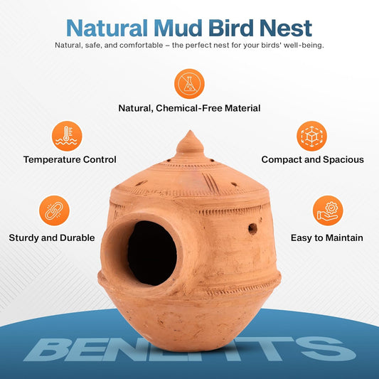 Terracotta Bird Nest Set (5 Pieces | 1 FREE Included)